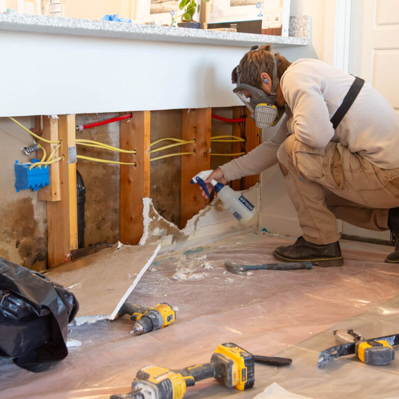 Western Construction & Restoration - Mitigation Specialist-2