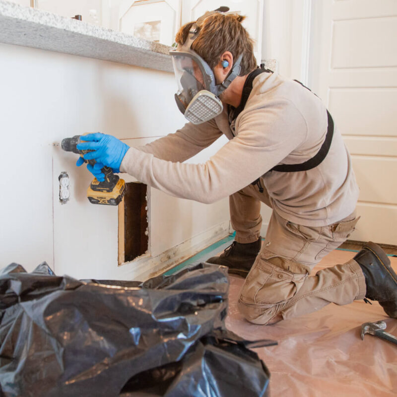Western Construction Restoration_Certified Mold Remediation and Removal Services--2