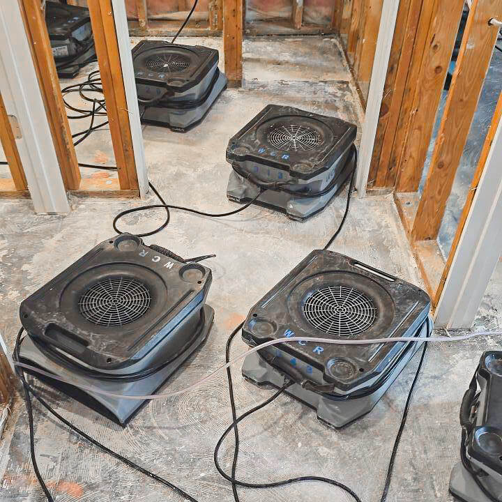 Western Construction Restoration_Certified Mold Remediation and Removal Services--3